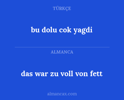 bu dolu cok yagdi - das war zu voll von fett