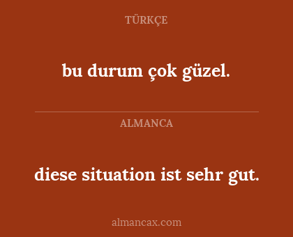 diese situation ist sehr gut. - bu durum çok güzel.