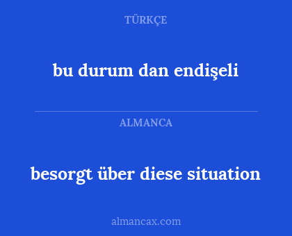 bu durum dan endişeli - besorgt über diese situation