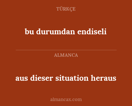 aus dieser situation heraus - bu durumdan endiseli
