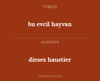 bu evcil hayvan - dieses haustier