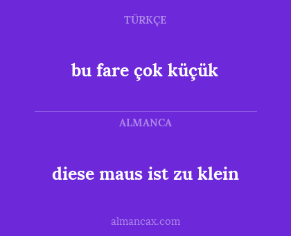 diese maus ist zu klein - bu fare çok küçük