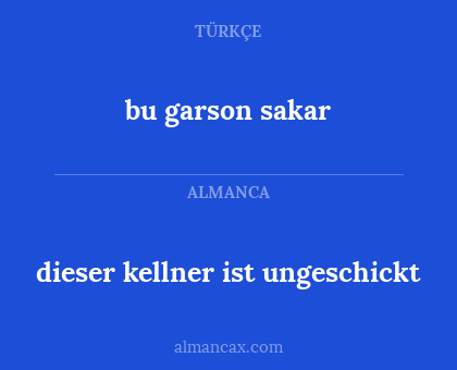 bu garson sakar - dieser kellner ist ungeschickt