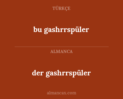 bu gashrrspüler - der gashrrspüler