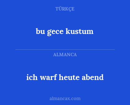 bu gece kustum - ich warf heute abend