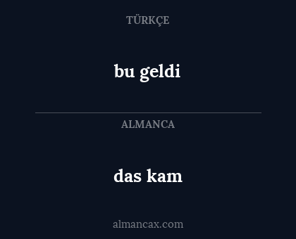 bu geldi - das kam