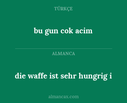 die waffe ist sehr hungrig i - bu gun cok acim