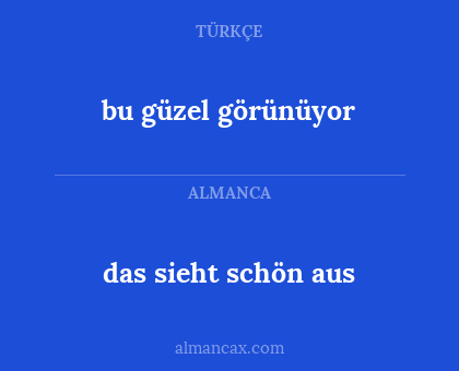 bu güzel görünüyor - das sieht schön aus