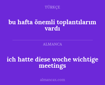 ich hatte diese woche wichtige meetings - bu hafta önemli toplantılarım vardı
