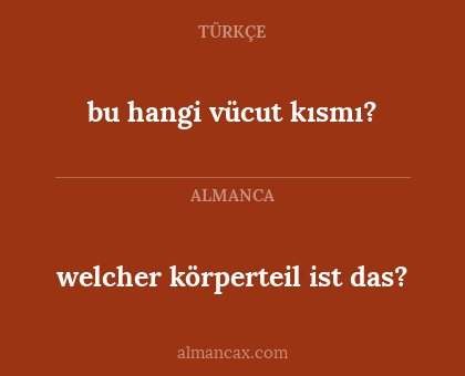 bu hangi vücut kısmı? - welcher körperteil ist das?