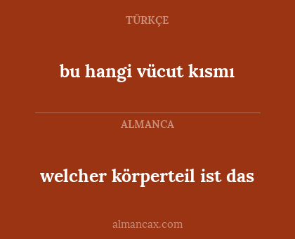 welcher körperteil ist das - bu hangi vücut kısmı