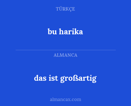 bu harika - das ist großartig