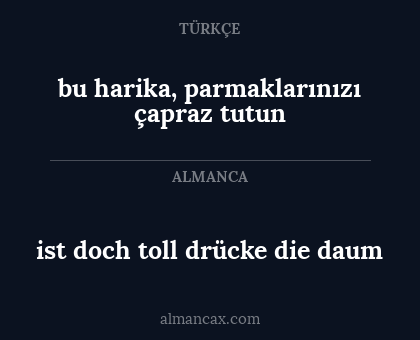 bu harika, parmaklarınızı çapraz tutun - ist doch toll drücke die daum