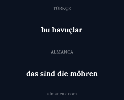 das sind die möhren - bu havuçlar