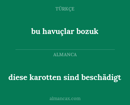 bu havuçlar bozuk - diese karotten sind beschädigt