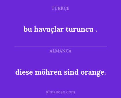 diese möhren sind orange. - bu havuçlar turuncu .