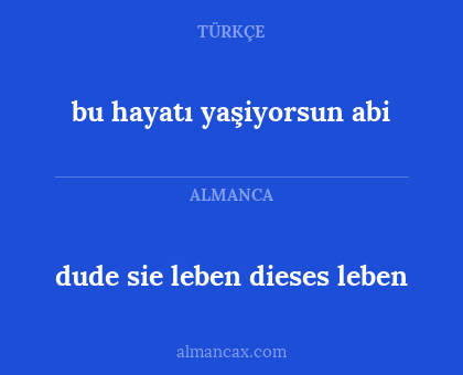 bu hayatı yaşiyorsun abi - dude sie leben dieses leben