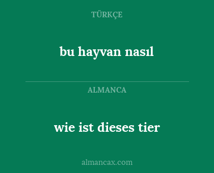wie ist dieses tier - bu hayvan nasıl