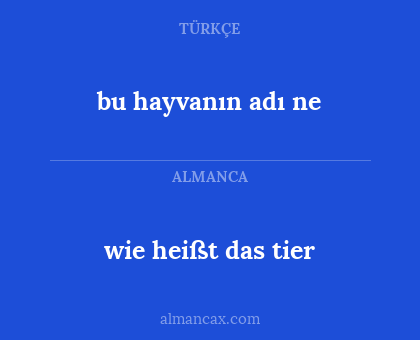 bu hayvanın adı ne - wie heißt das tier