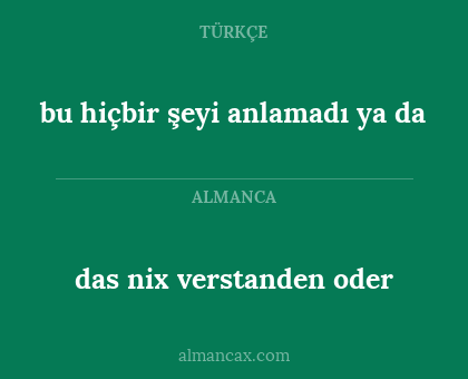 das nix verstanden oder - bu hiçbir şeyi anlamadı ya da