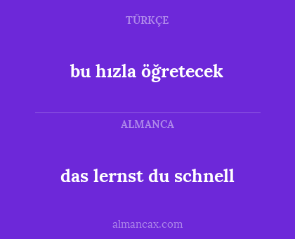 bu hızla öğretecek - das lernst du schnell
