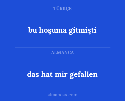 bu hoşuma gitmişti - das hat mir gefallen