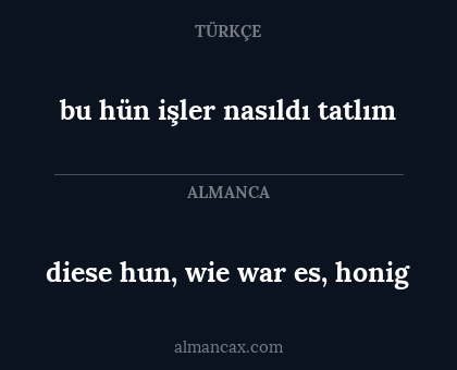 diese hun, wie war es, honig - bu hün işler nasıldı tatlım