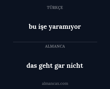 bu işe yaramıyor - das geht gar nicht