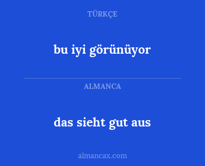 bu iyi görünüyor - das sieht gut aus