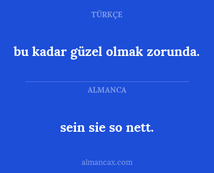 sein sie so nett. - bu kadar güzel olmak zorunda.