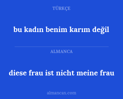 diese frau ist nicht meine frau - bu kadın benim karım değil