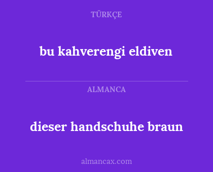 bu kahverengi eldiven - dieser handschuhe braun
