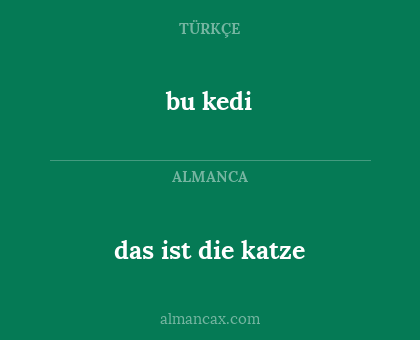 bu kedi - das ist die katze