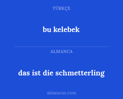 bu kelebek - das ist die schmetterling
