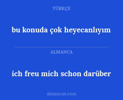 ich freu mich schon darüber - bu konuda çok heyecanlıyım
