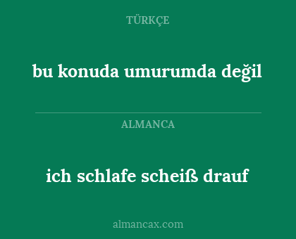 bu konuda umurumda değil - ich schlafe scheiß drauf