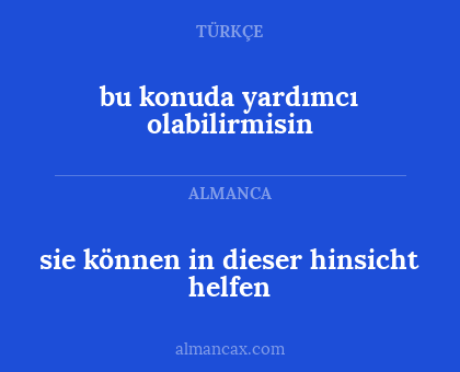 sie können in dieser hinsicht helfen - bu konuda yardımcı olabilirmisin