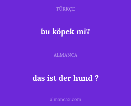 bu köpek mi? - das ist der hund ?