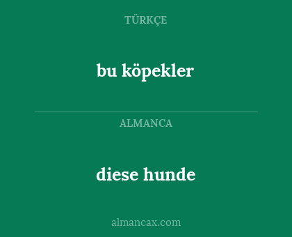bu köpekler - diese hunde