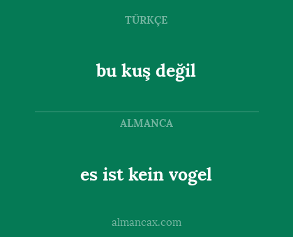 bu kuş değil - es ist kein vogel