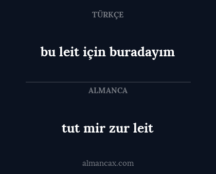bu leit için buradayım - tut mir zur leit