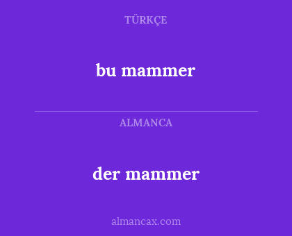 bu mammer - der mammer