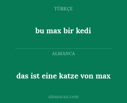bu max bir kedi - das ist eine katze von max
