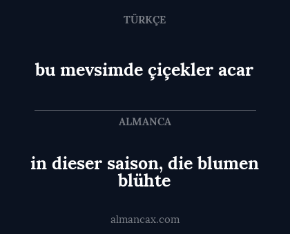 in dieser saison, die blumen blühte - bu mevsimde çiçekler acar