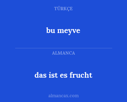 bu meyve - das ist es frucht