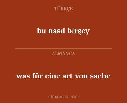 was für eine art von sache - bu nasıl birşey
