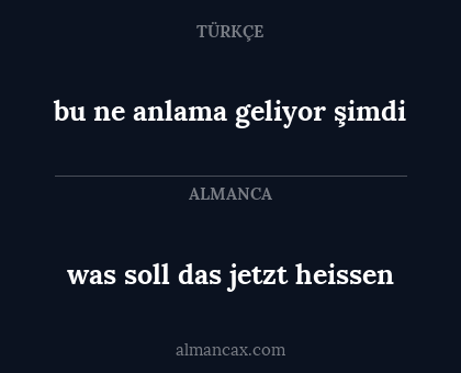 was soll das jetzt heissen - bu ne anlama geliyor şimdi