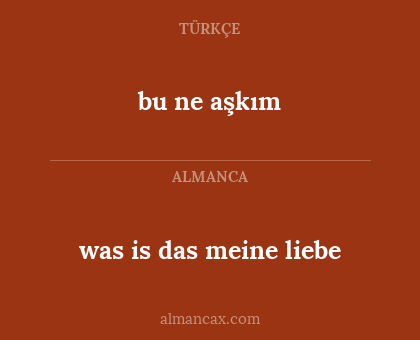 bu ne aşkım - was is das meine liebe