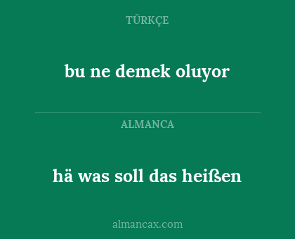 hä was soll das heißen - bu ne demek oluyor
