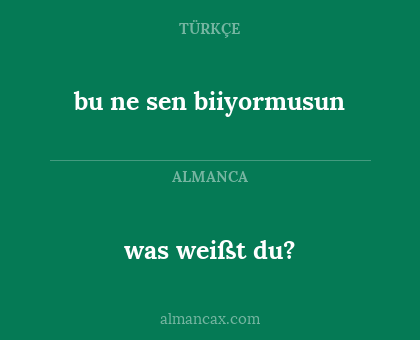 was weißt du? - bu ne sen biiyormusun